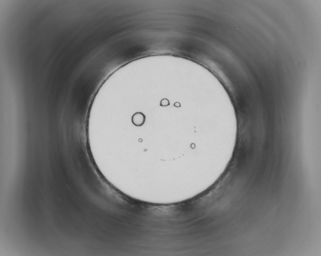 X0000112390810200908271338