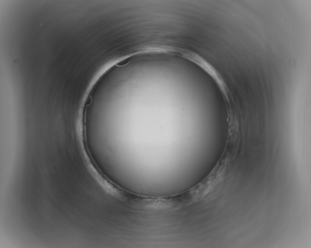 X0000112390811200908271338