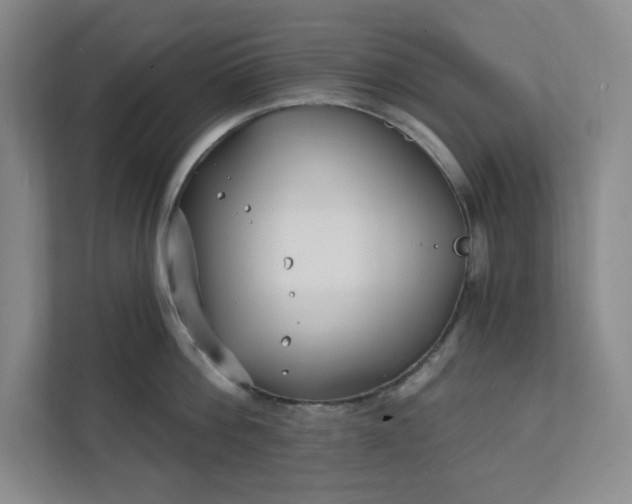 X0000112390812200908271338