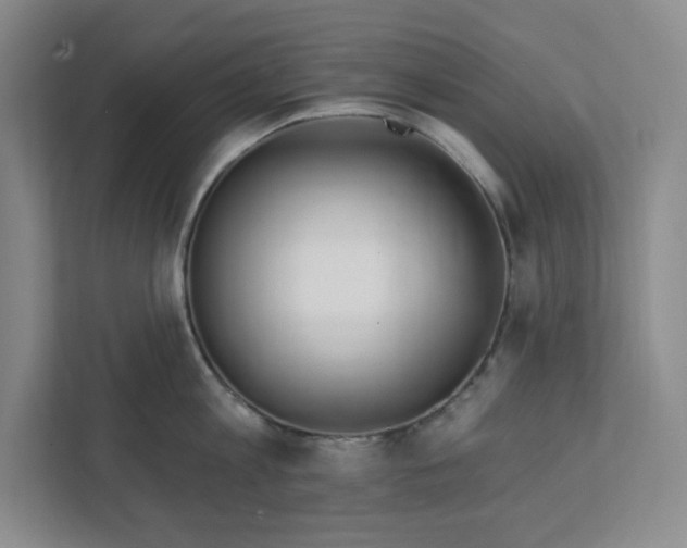 X0000112390813200908271338