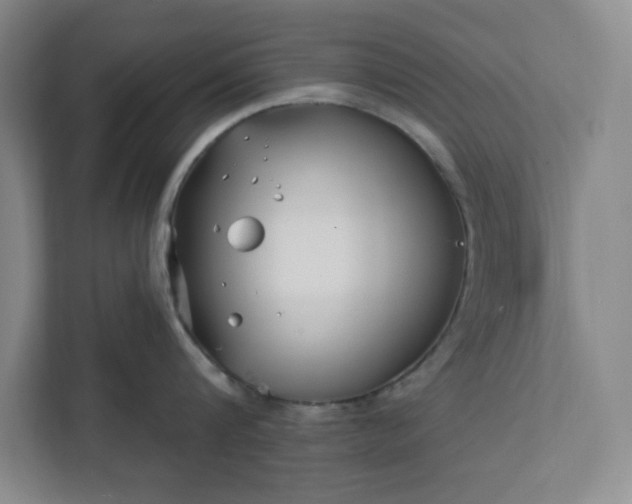 X0000112390816200908271338