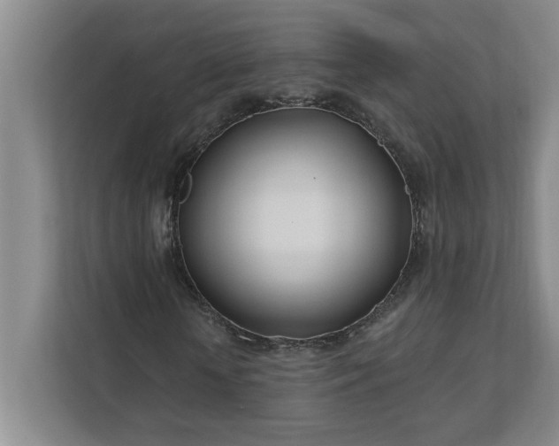 X0000112390818200908271338