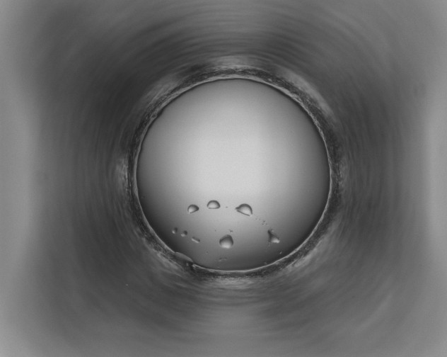 X0000112390825200908271338