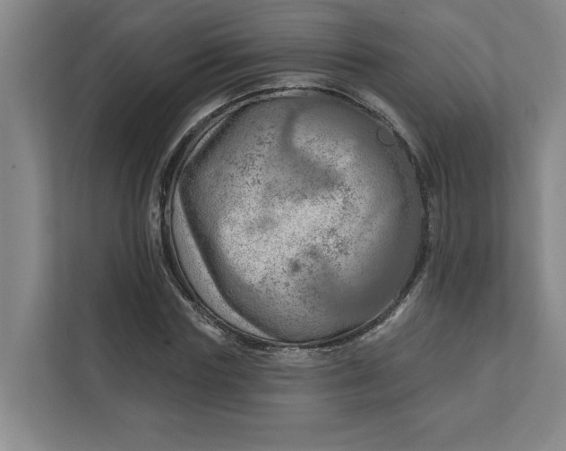 X0000112390827200908271338