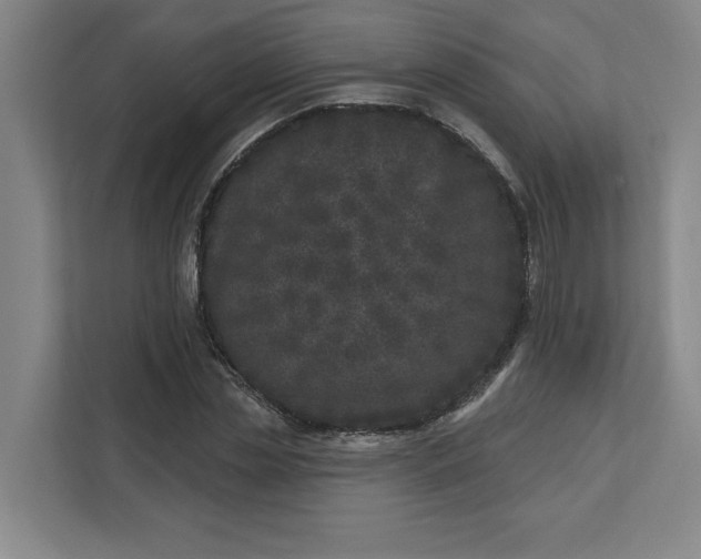 X0000112390829200908271338