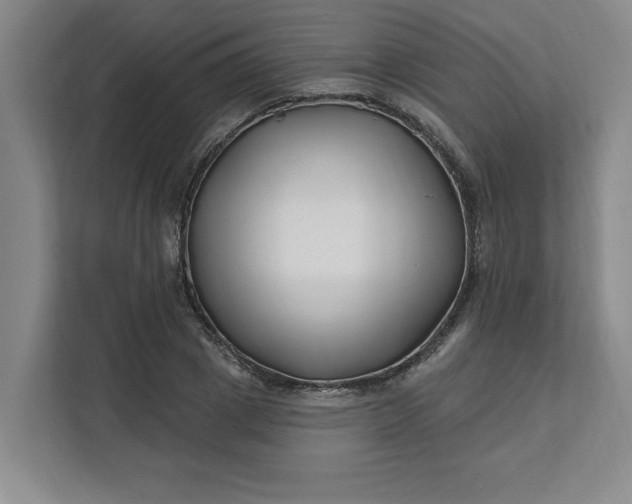 X0000112390833200908271338