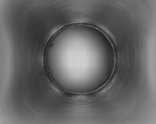 X0000112390834200908271338