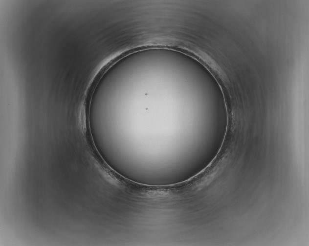 X0000112390838200908271338