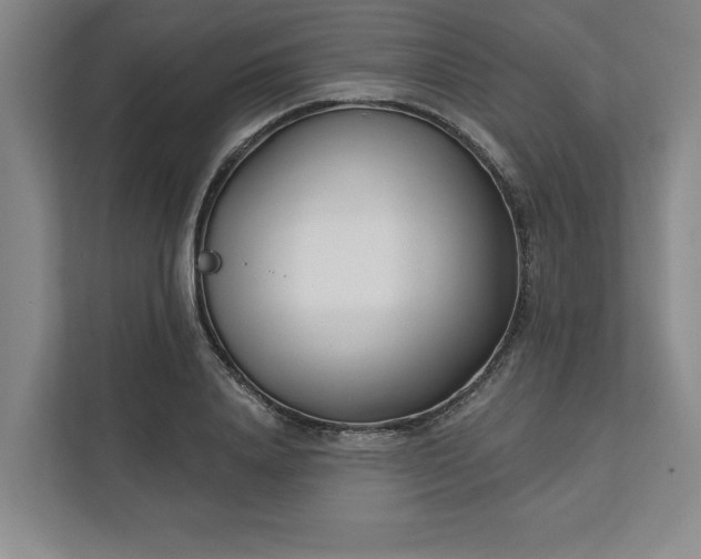 X0000112390840200908271338