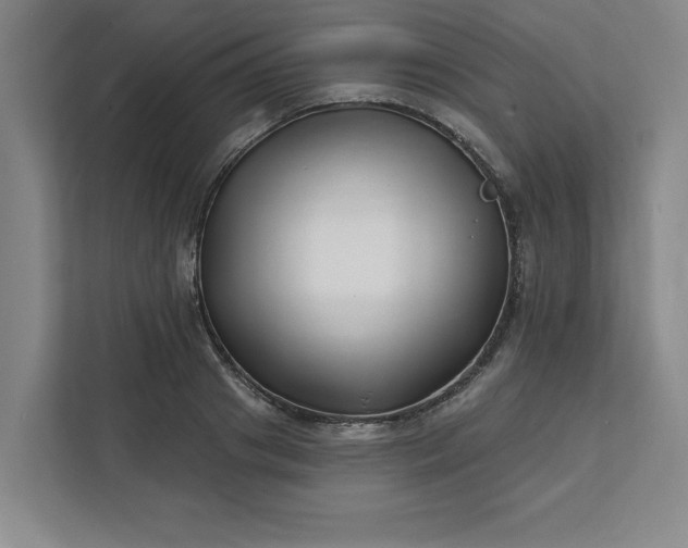 X0000112390841200908271338