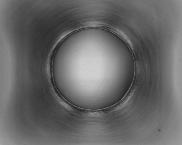 X0000112390843200908271338