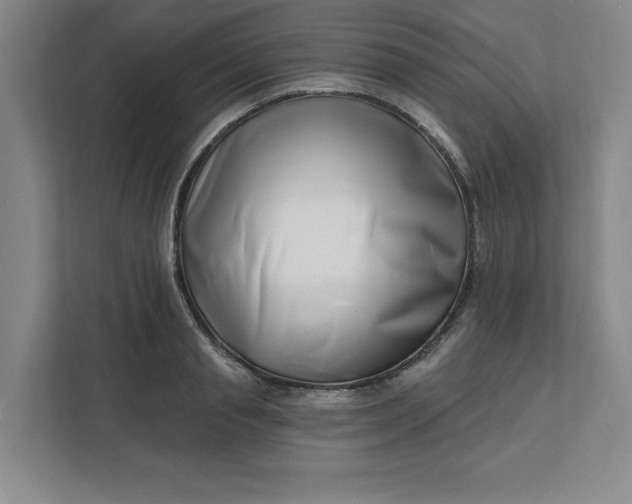 X0000112390845200908271338