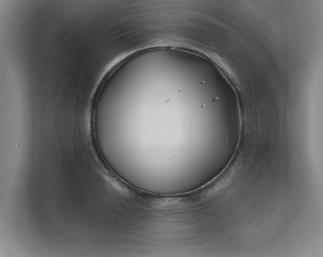 X0000112390846200908271338