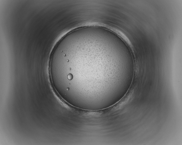 X0000112390847200908271338