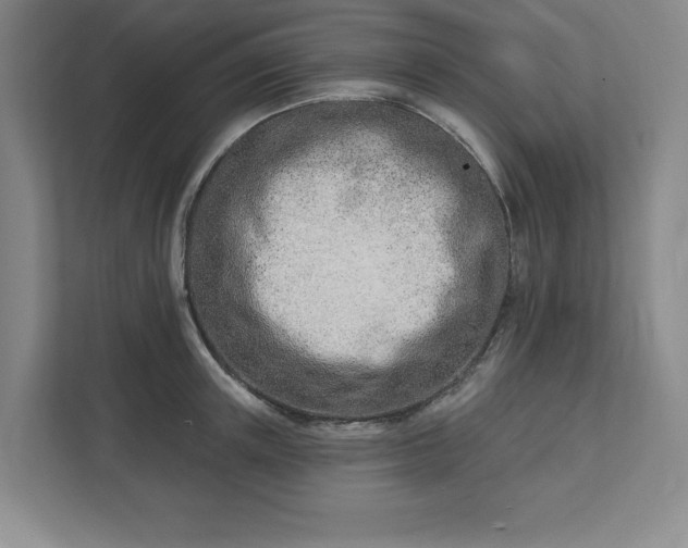 X0000112390851200908271338