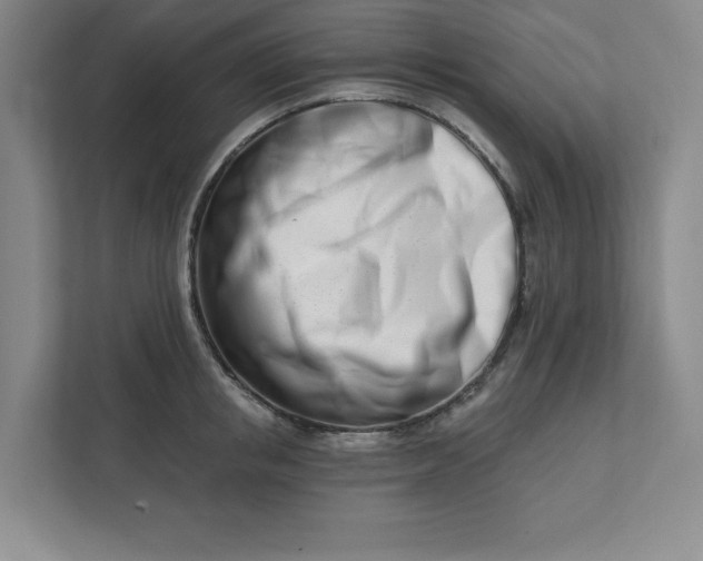 X0000112390853200908271338