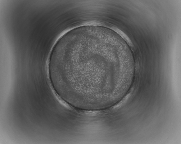 X0000112390854200908271338