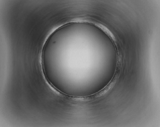 X0000112390855200908271338