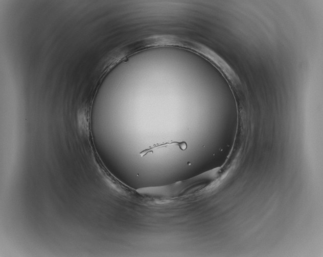 X0000112390857200908271338