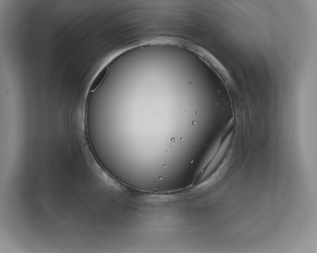 X0000112390860200908271338