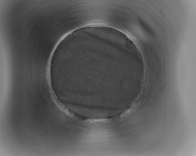 X0000112390864200908271338