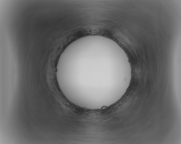 X0000112390865200908271338