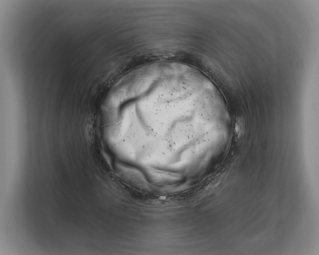 X0000112390867200908271338