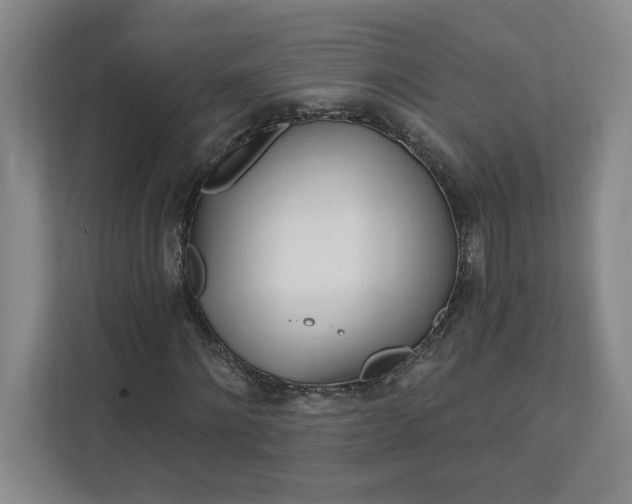 X0000112390868200908271338