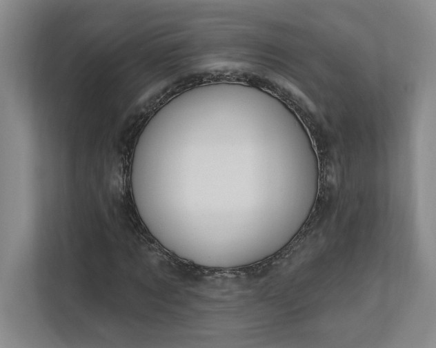 X0000112390869200908271338