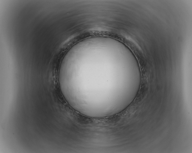 X0000112390870200908271338