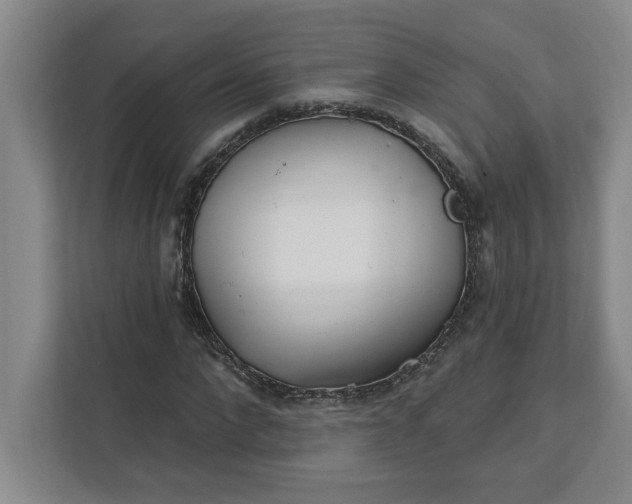 X0000112390872200908271338