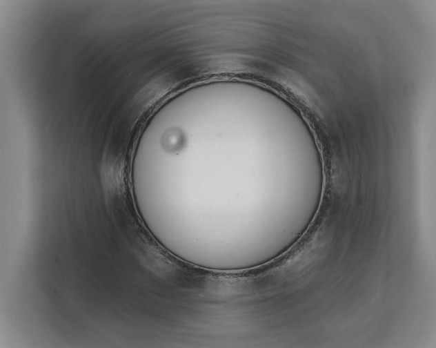 X0000112390873200908271338