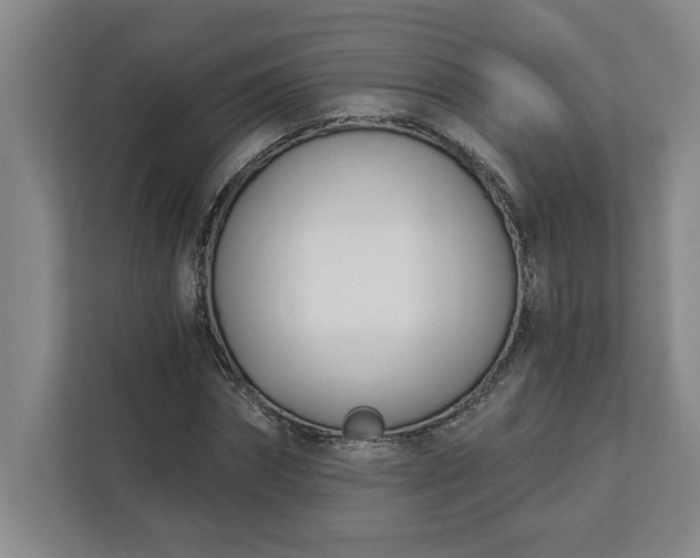 X0000112390874200908271338