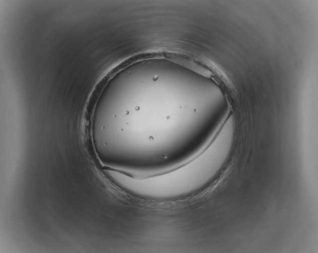 X0000112390876200908271338