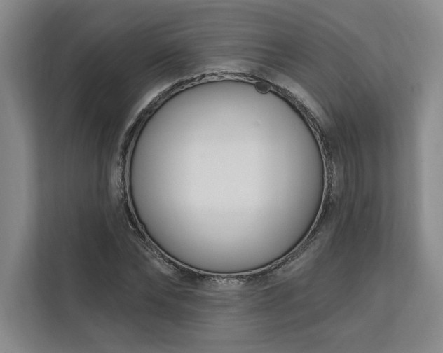 X0000112390878200908271338