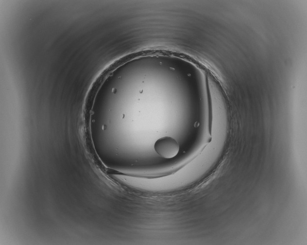 X0000112390880200908271337