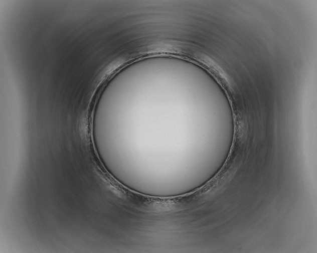 X0000112390882200908271337