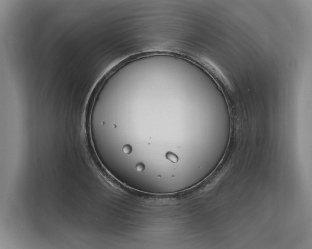 X0000112390884200908271337