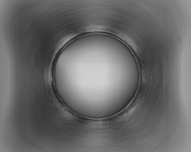 X0000112390885200908271337