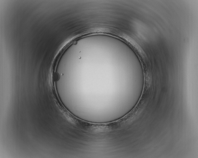 X0000112390886200908271337