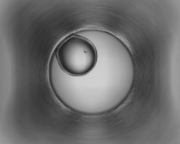 X0000112390888200908271337