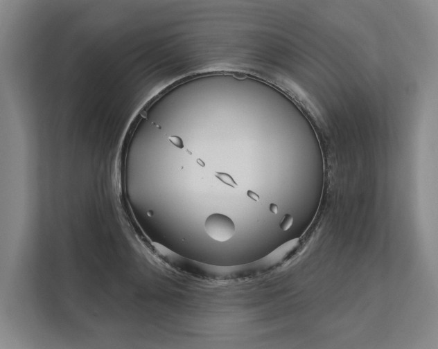 X0000112390892200908271337