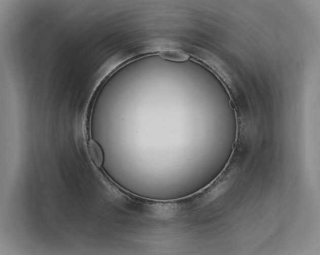 X0000112390893200908271337