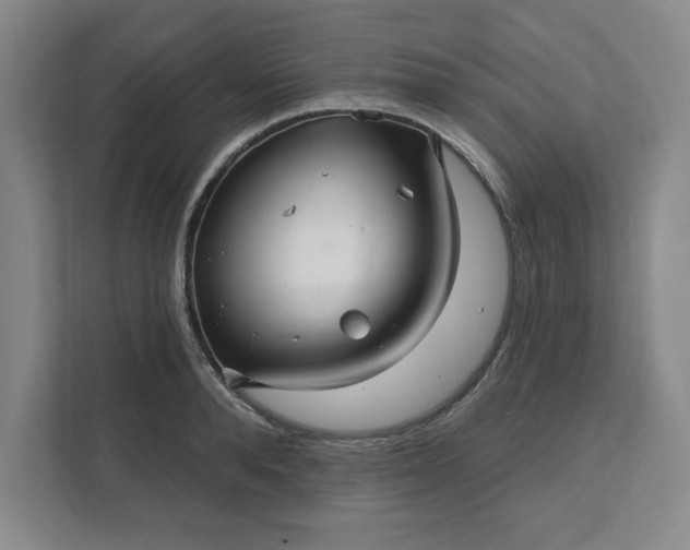 X0000112390896200908271337