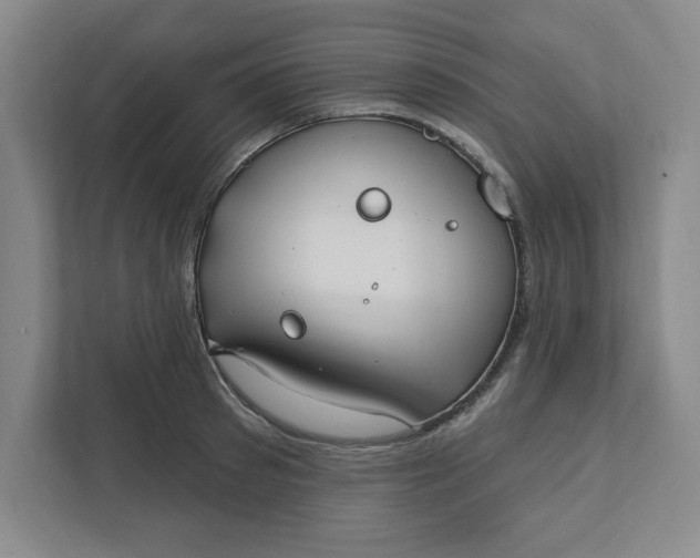 X0000112390897200908271337