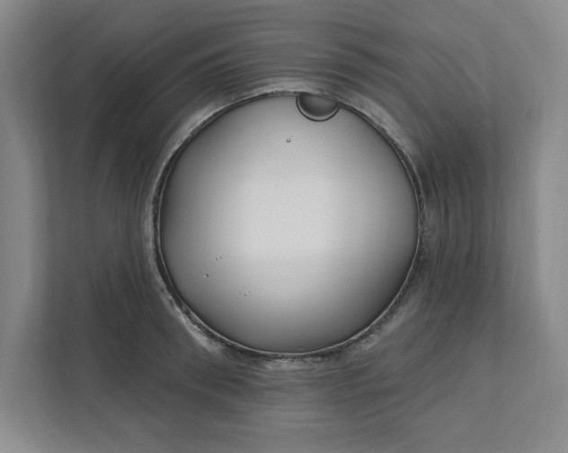 X0000112390898200908271337