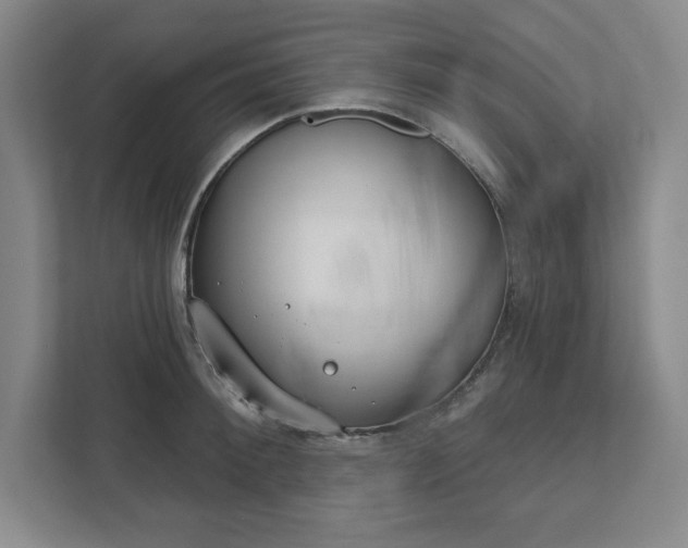 X0000112390900200908271337