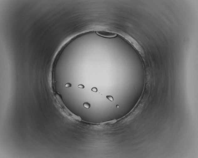 X0000112390904200908271337