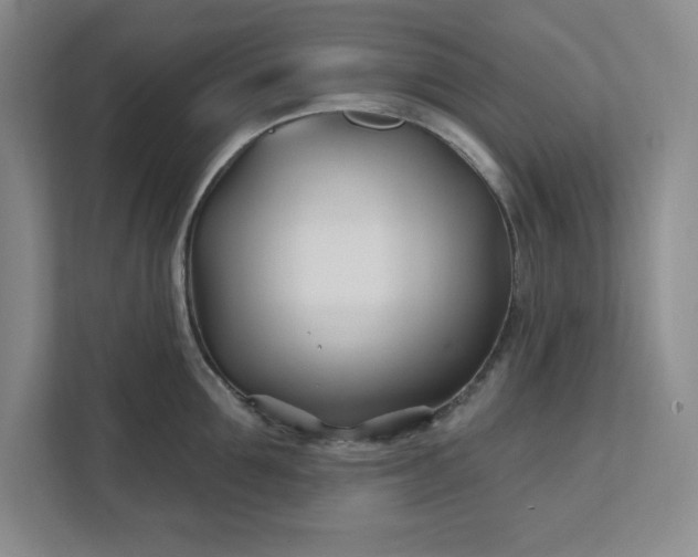 X0000112390907200908271337