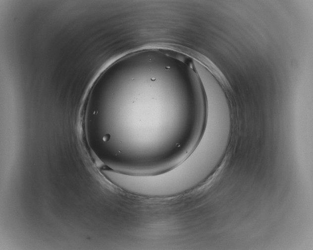 X0000112390908200908271337